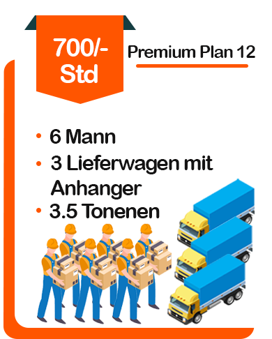 Umzug Pricing Plan 12