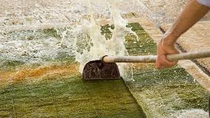 Teppichreinigung Schweiz